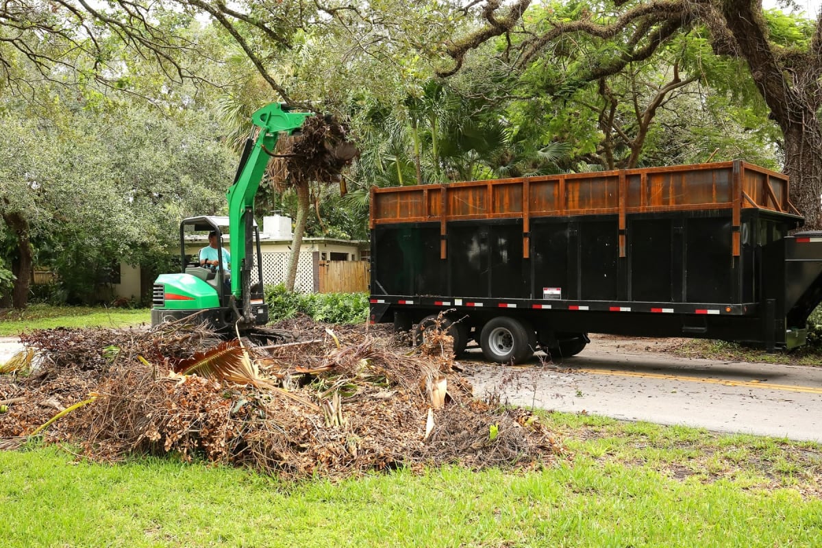 Yard Debris Removal Morro Bay, CA: A Simple Guide to Yard Waste Cleanup and Removal