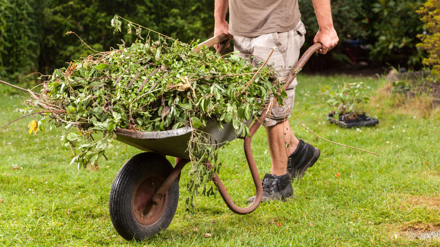 Affordable Garden Waste Removal in Atascadero, CA for green debris