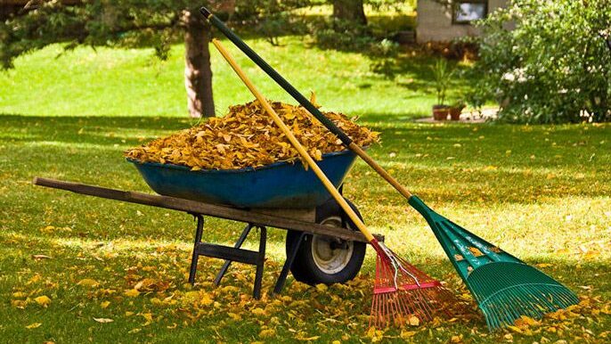 Yard Debris Removal Morro Bay CA and green waste hauling